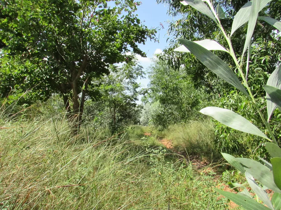 Photo of School of Humanities, Pondicherry, Puducherry, India by Vignesh Murugesan