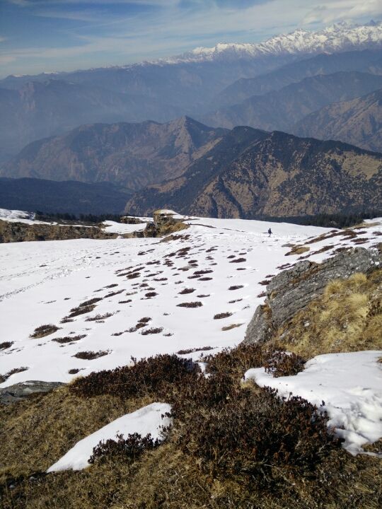 Photo of Chopta, Uttarakhand, India by Nitin Goyal