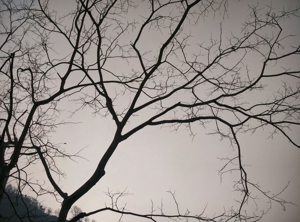 Photo of Rishikesh: Conduit towards Heaven - Part 1 7/15 by Vineet Jain