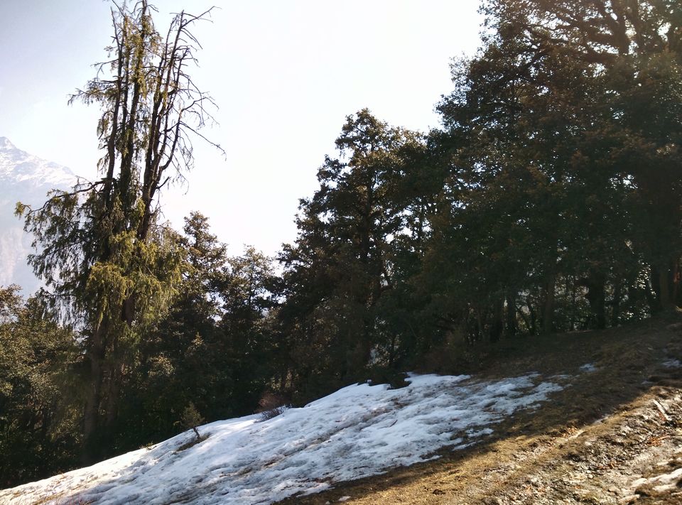 Photo of Auli - Where I Met Snow And Rediscovered Friendship 12/26 by Vineet Jain