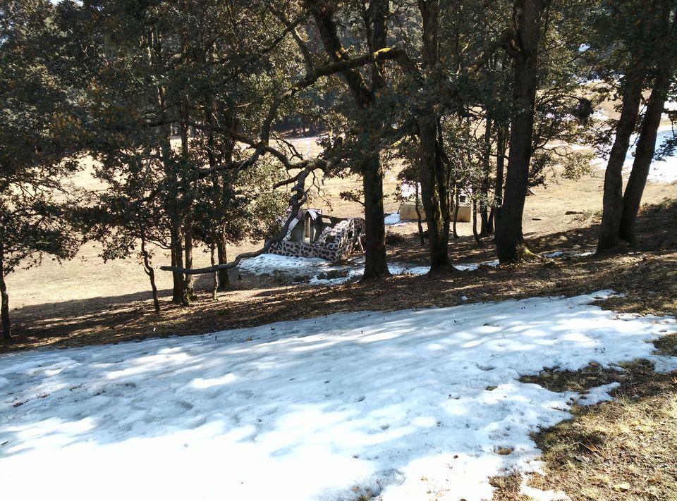 Photo of Auli - Where I Met Snow And Rediscovered Friendship 22/26 by Vineet Jain