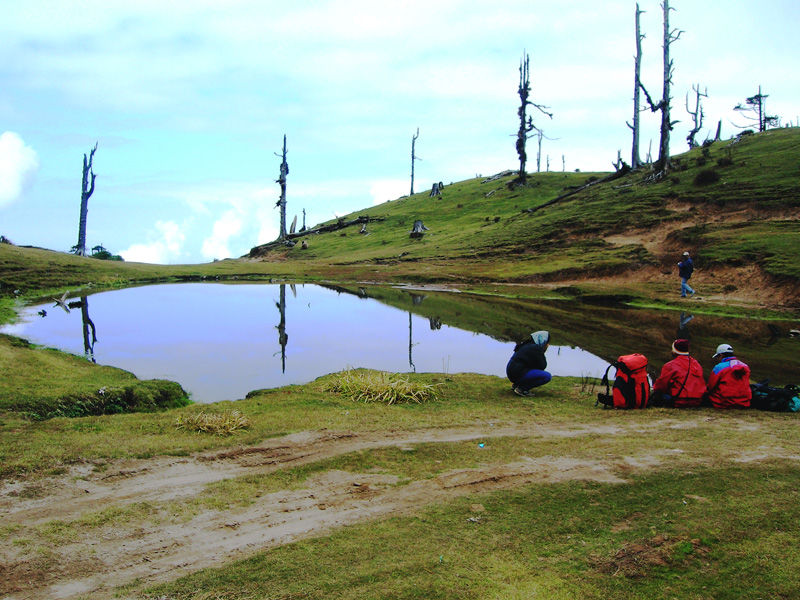 Photo of Singalila National Park, Singalila Forest, West Bengal, India by Sounak Ghosh