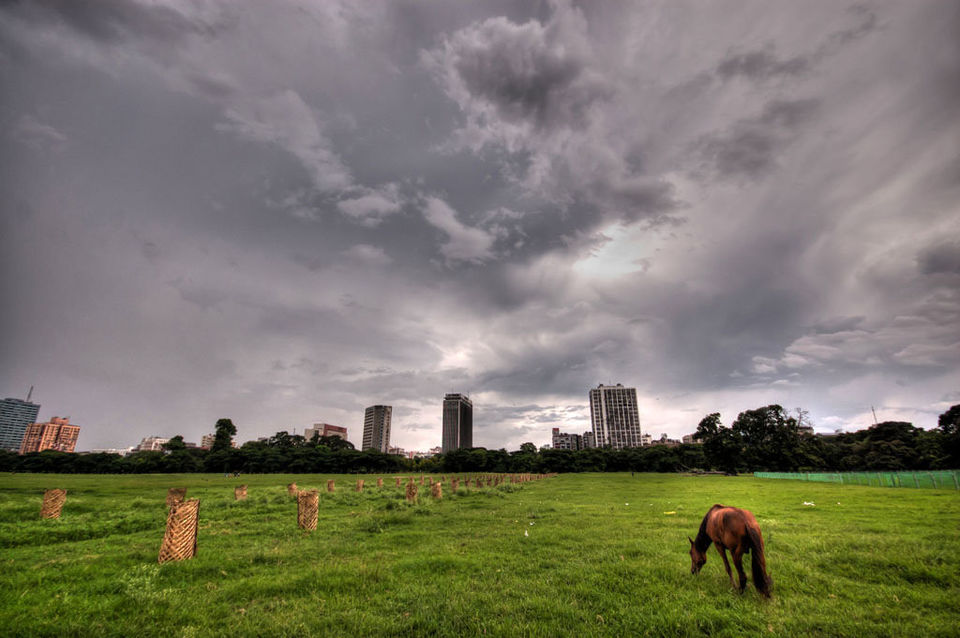 Photo of Maidan, Kolkata, West Bengal, India by Sounak Ghosh