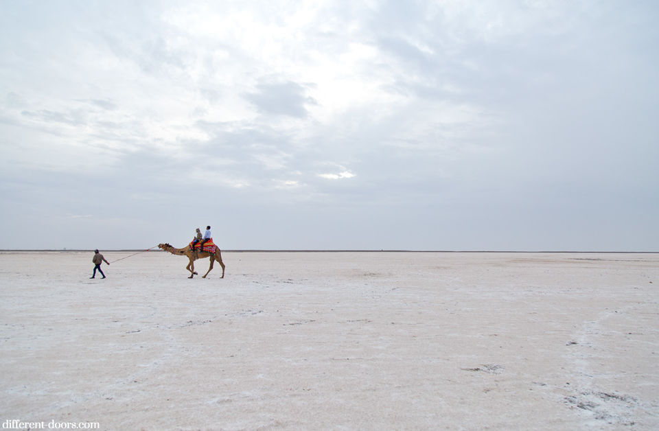 Photo of Rann of Kutch, Lõuna-Aasia, Kutch, Gujarat, India by Sounak Ghosh
