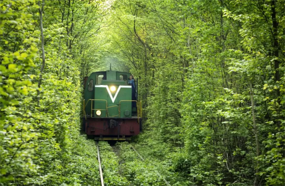 Photo of Tunel' Kohannia the Tunnel of Love, Klevan', Rivnens'ka oblast, Ukraine by Sounak Ghosh