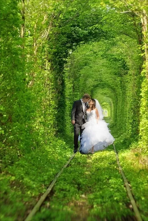 Photo of Tunel' Kohannia the Tunnel of Love, Klevan', Rivnens'ka oblast, Ukraine by Sounak Ghosh