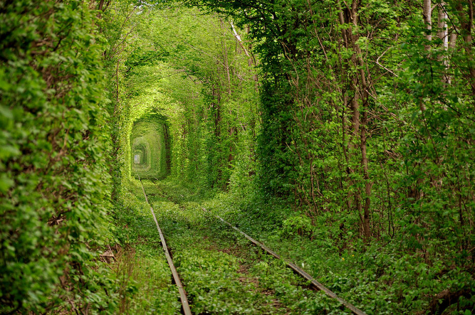 Photo of Tunel' Kohannia the Tunnel of Love, Klevan', Rivnens'ka oblast, Ukraine by Sounak Ghosh