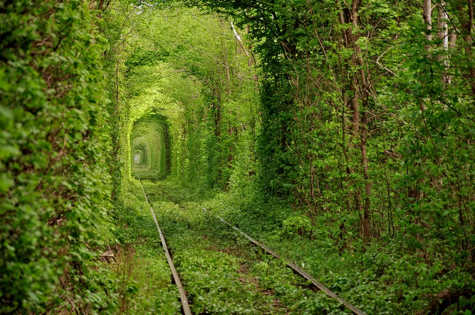 Photo of Tunel' Kohannia the Tunnel of Love, Klevan', Rivnens'ka oblast, Ukraine by Sounak Ghosh