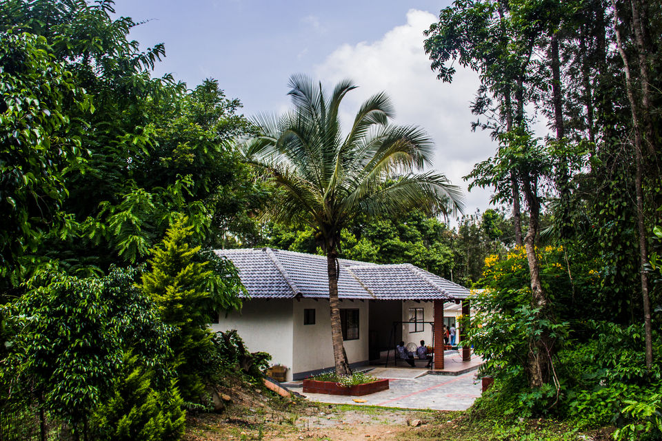 Photo of Chikmagalur, Karnataka, India by Sounak Ghosh
