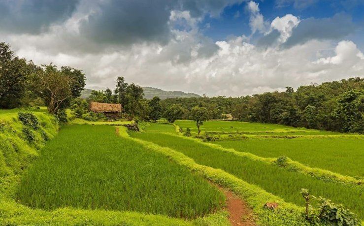 Photo of Lost Highway by Sounak Ghosh