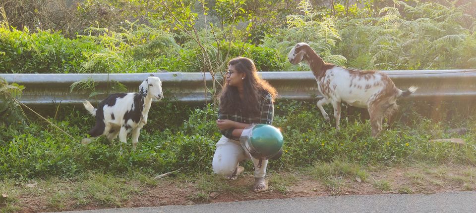 Photo of WanderinginWayanad #Lockdown by Sindhu