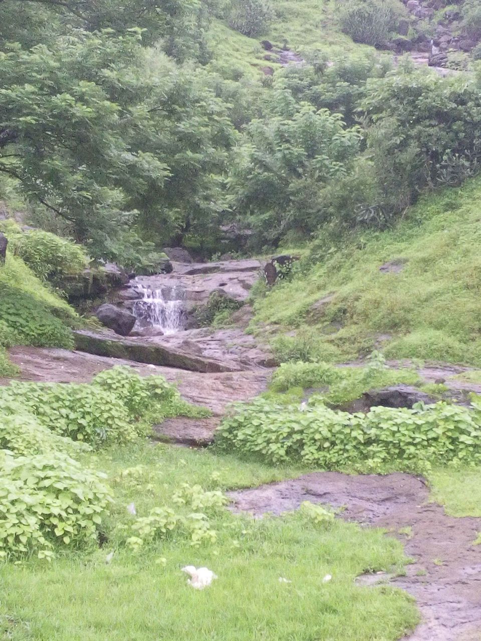 Photo of Trek To Lohagadh (The Iron Fort) 3/30 by Vikas Jain