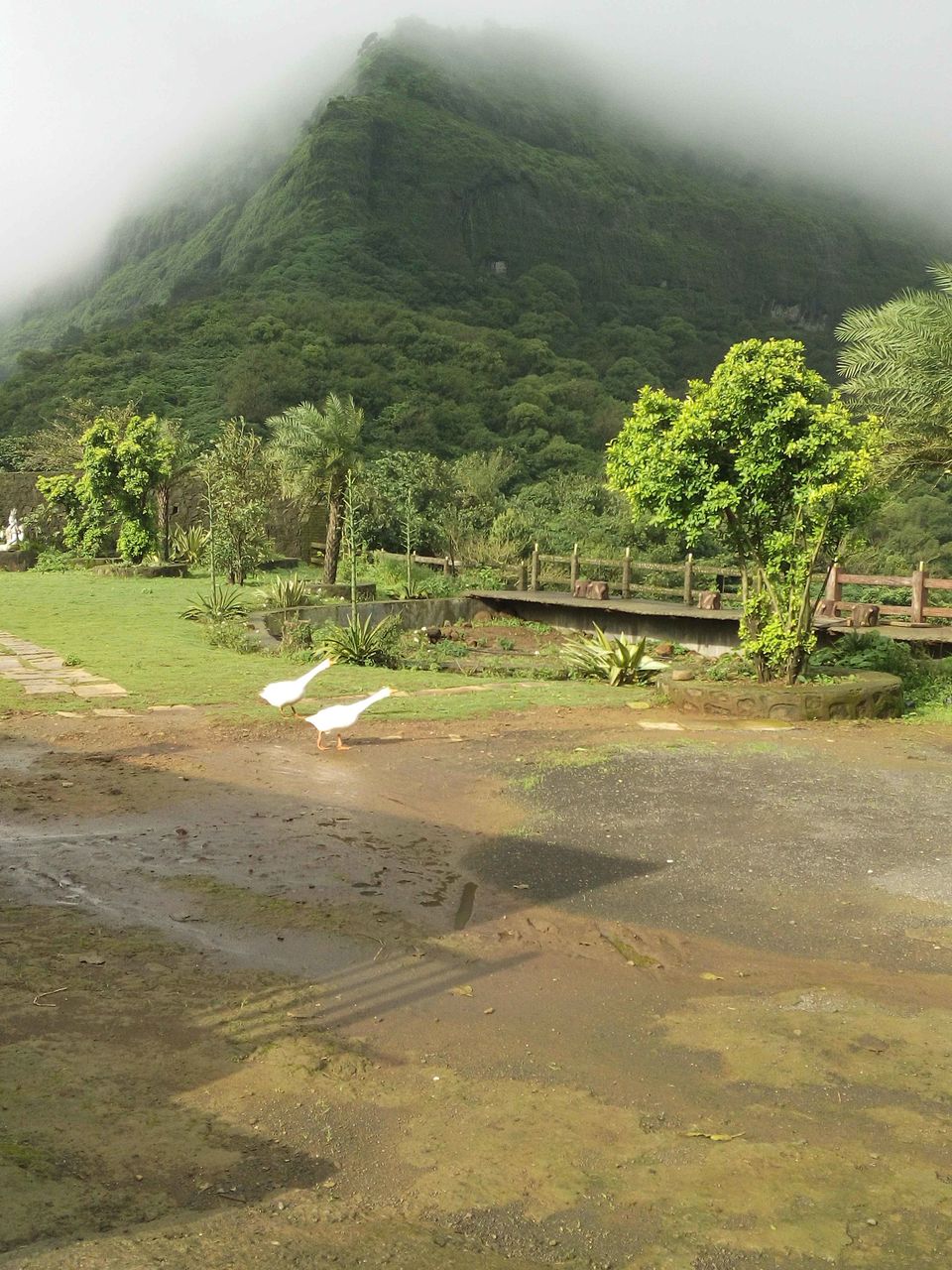 Photo of Trek To Lohagadh (The Iron Fort) 9/30 by Vikas Jain