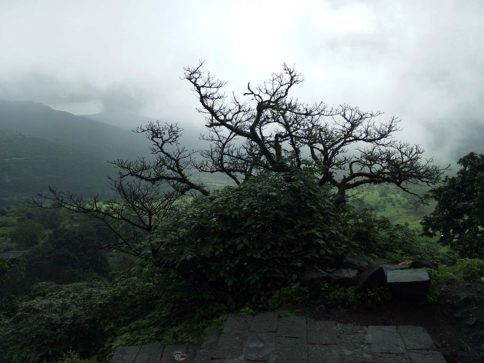Photo of Trek To Lohagadh (The Iron Fort) 12/30 by Vikas Jain