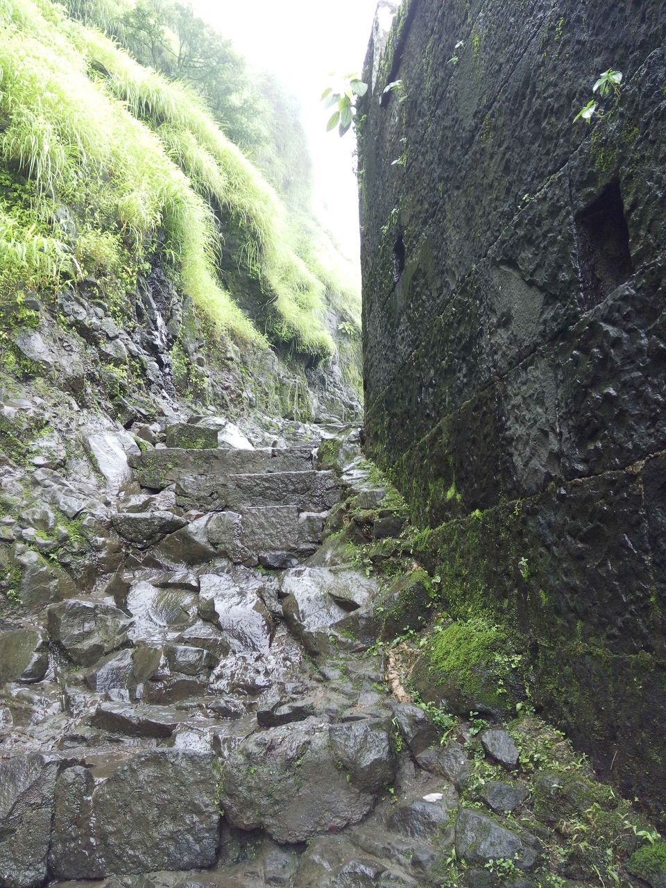 Photo of Trek To Lohagadh (The Iron Fort) 16/30 by Vikas Jain