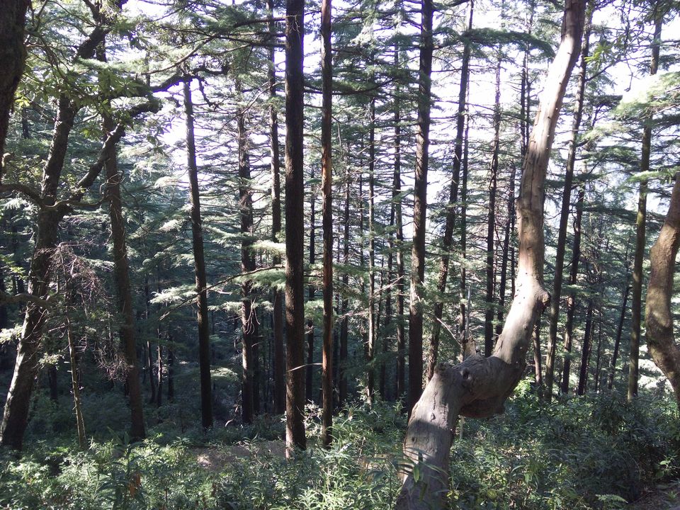 Photo of My First Solo Trip – Time For Contemplation 1/32 by Vikas Jain