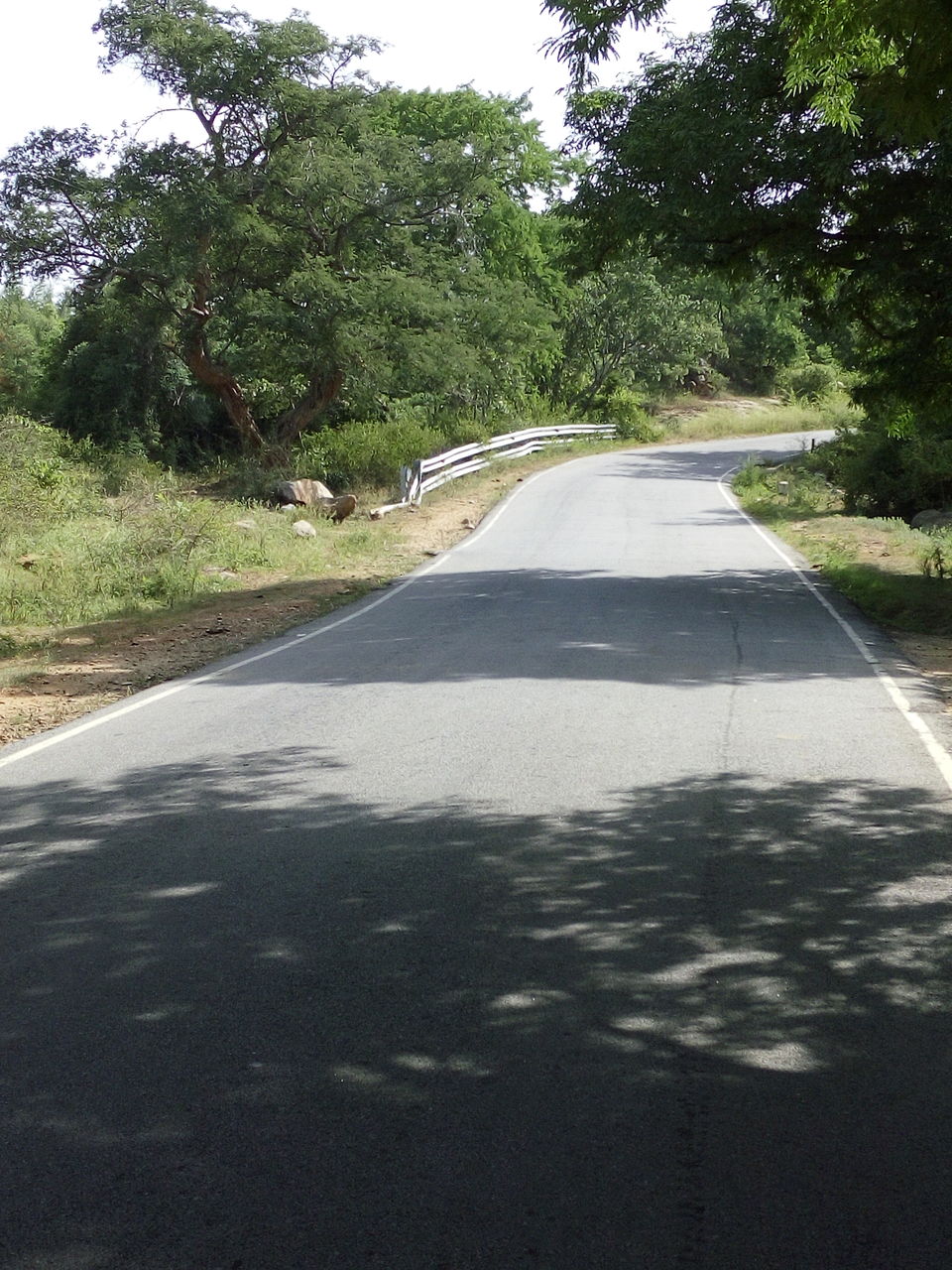 Photo of Roadtrip To Hogenakkal Waterfalls (The Niagara Of India) 4/12 by Vikas Jain