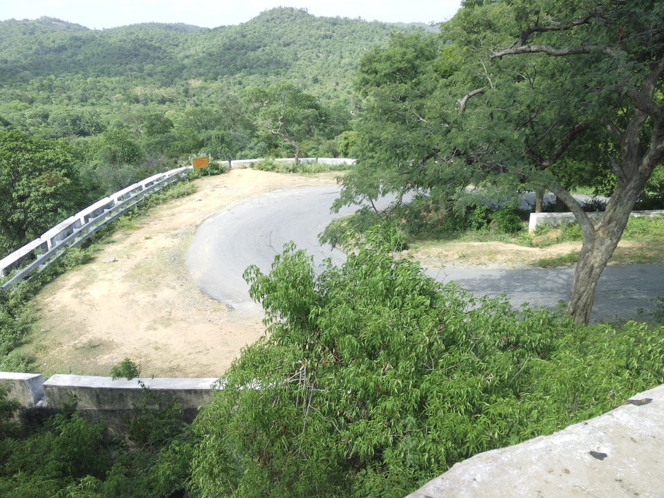 Photo of Roadtrip To Hogenakkal Waterfalls (The Niagara Of India) 7/12 by Vikas Jain