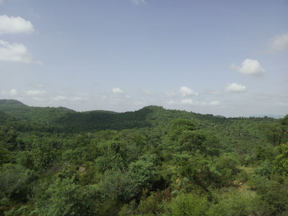 Photo of Roadtrip To Hogenakkal Waterfalls (The Niagara Of India) 8/12 by Vikas Jain