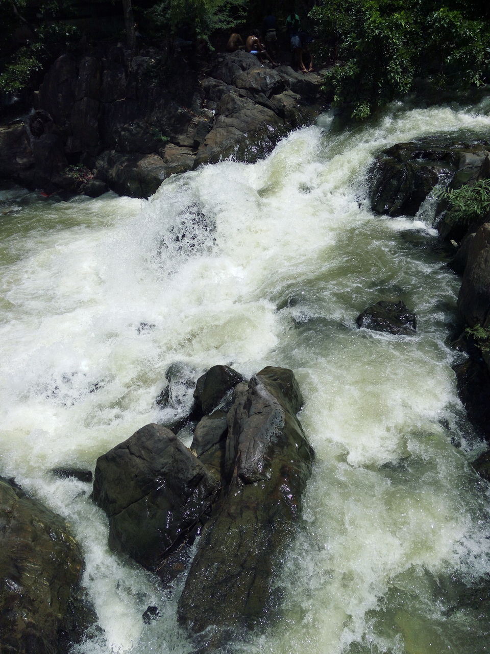 Photo of Roadtrip To Hogenakkal Waterfalls (The Niagara Of India) 10/12 by Vikas Jain