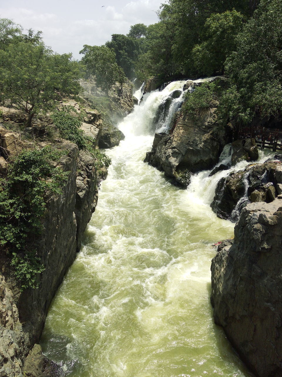 Hogenakkal Falls Tamil Nadu, Things to Know Before You Go to Hogenakkal  Falls in 2019 - Tripoto
