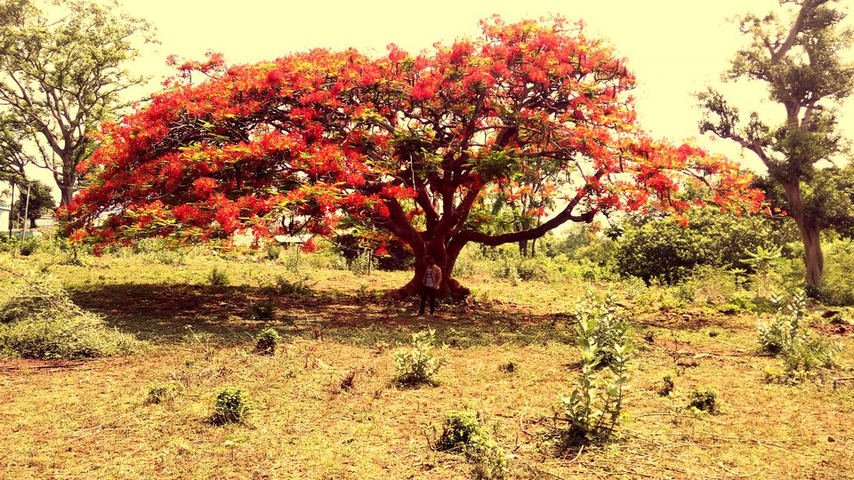 Photo of A Ride To The Twin Waterfalls Of Shiva's Sea 10/13 by Vikas Jain