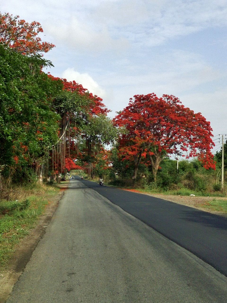 Photo of A Ride To The Twin Waterfalls Of Shiva's Sea 11/13 by Vikas Jain