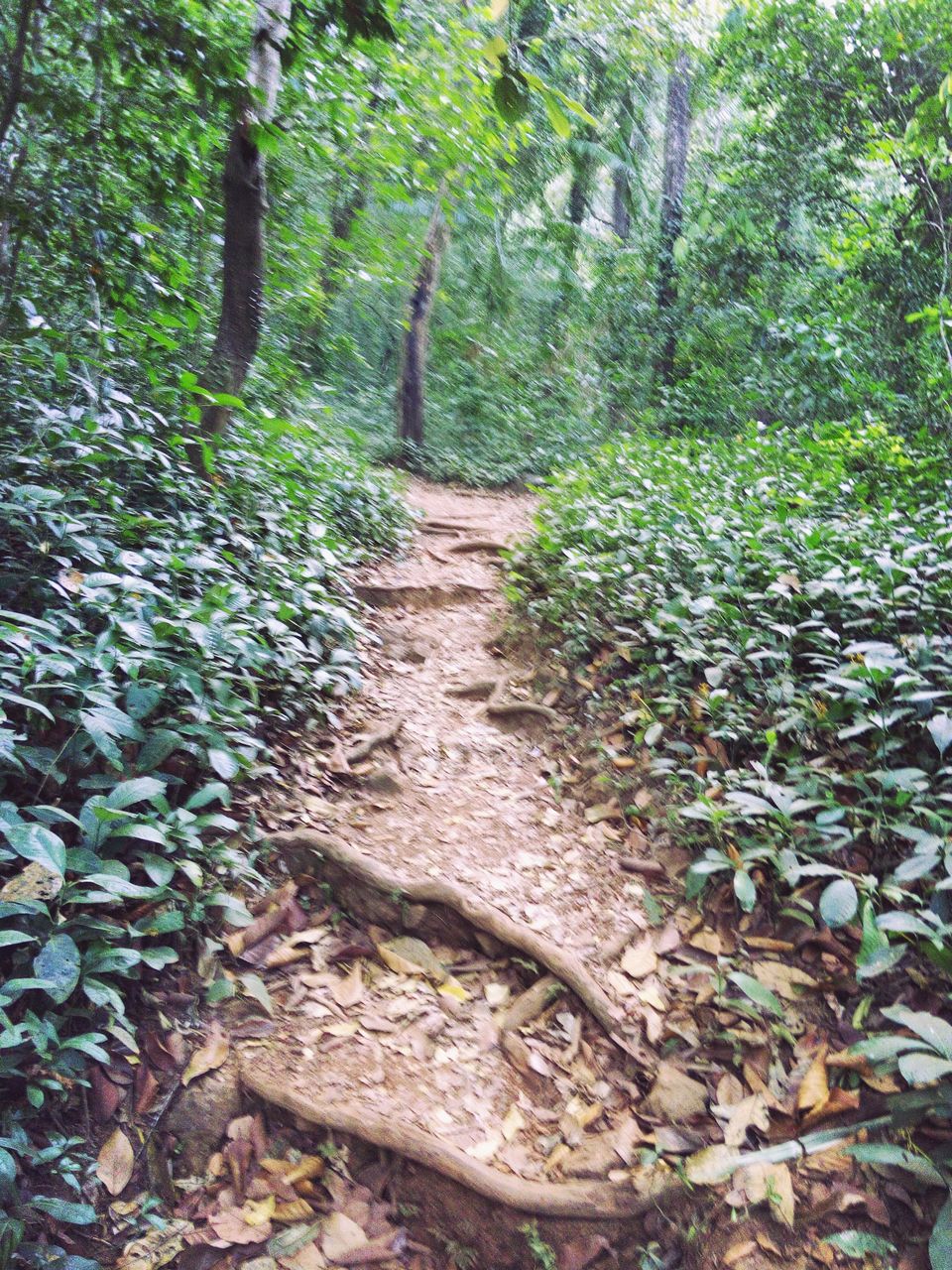 Photo of A Solo Trek To KP - My Birthday Gift To Myself by Vikas Jain