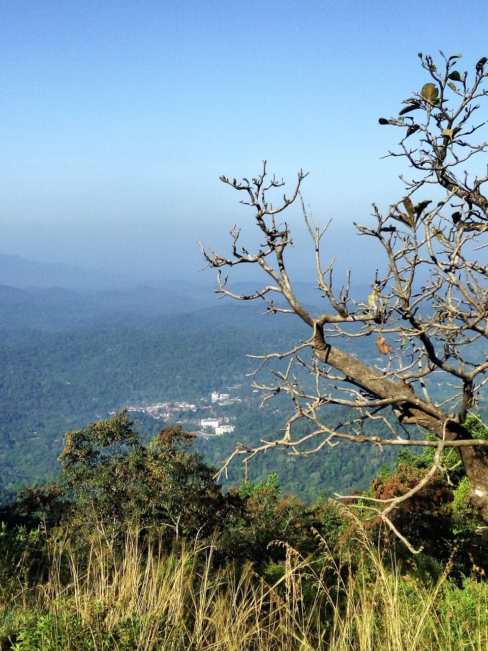 Photo of A Solo Trek To KP - My Birthday Gift To Myself by Vikas Jain