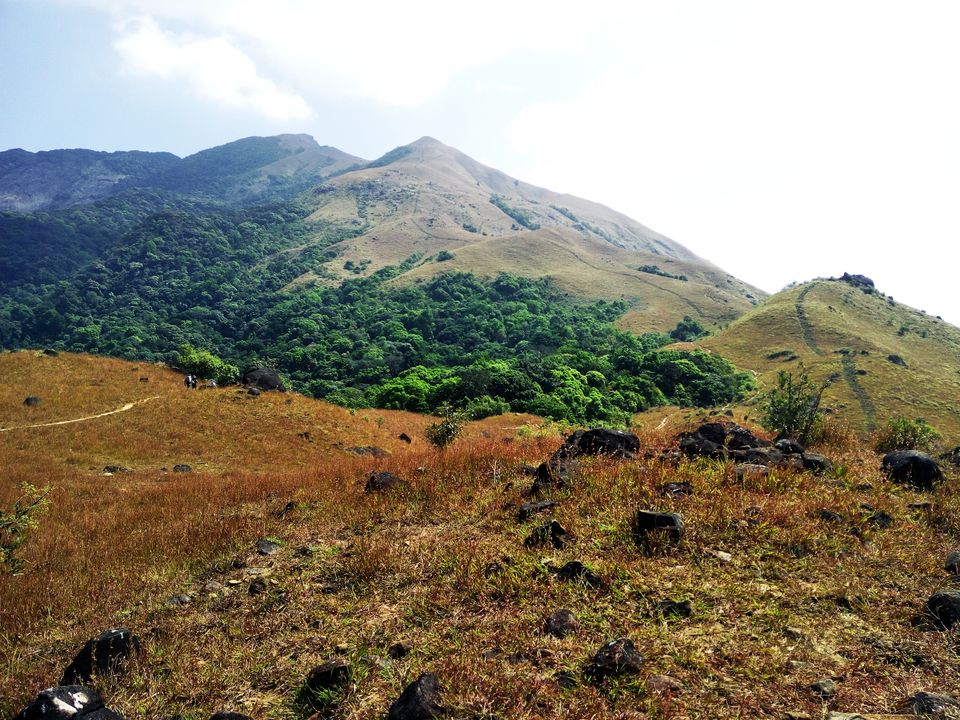 Photo of A Solo Trek To KP - My Birthday Gift To Myself by Vikas Jain