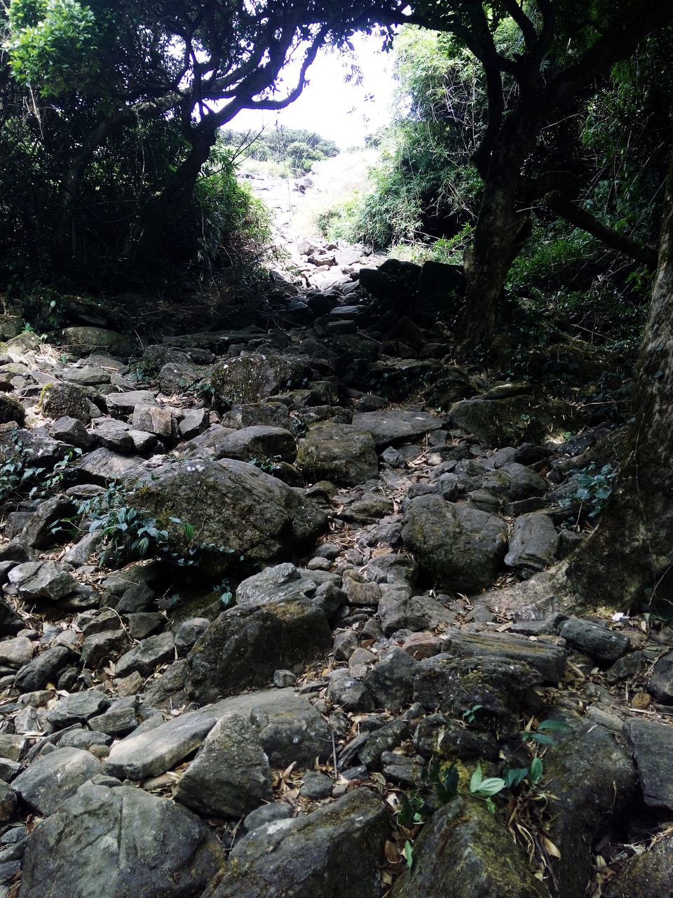 Photo of A Solo Trek To KP - My Birthday Gift To Myself by Vikas Jain