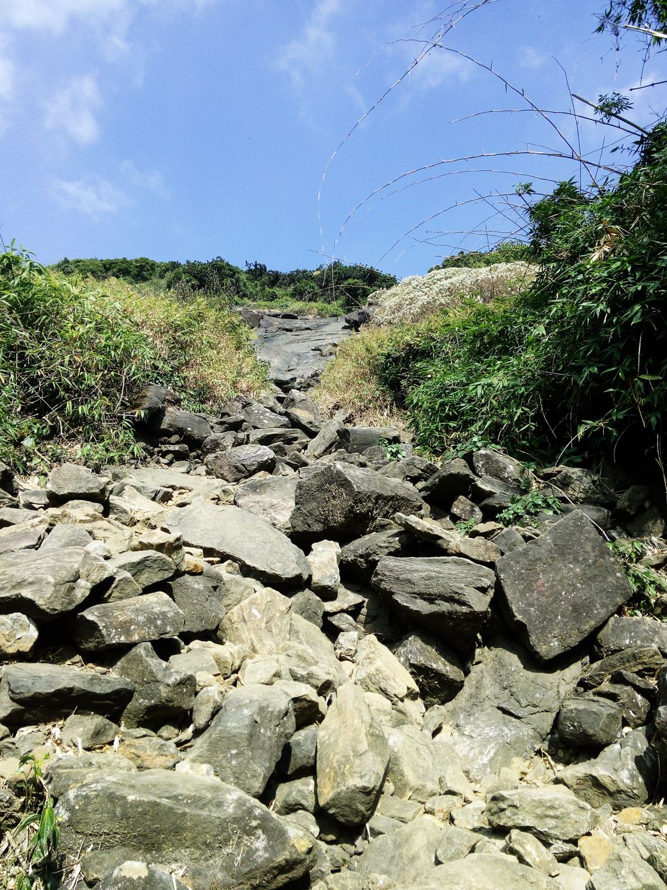 Photo of A Solo Trek To KP - My Birthday Gift To Myself by Vikas Jain