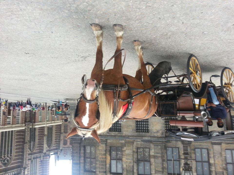 Photo of All about Culture - Amsterdam 9/15 by Jyotsna Gola