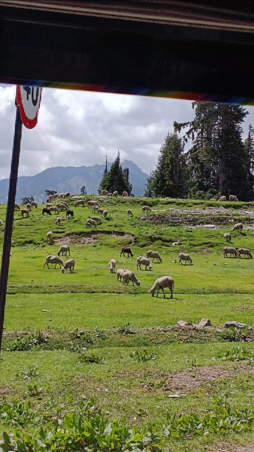 Photo of Gurez valley- a slow traveler's perfect destination by Shirsajit Mitra
