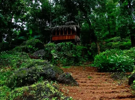 Photo of Olaulim Backyards, Olaulim, Goa, India by Karishma