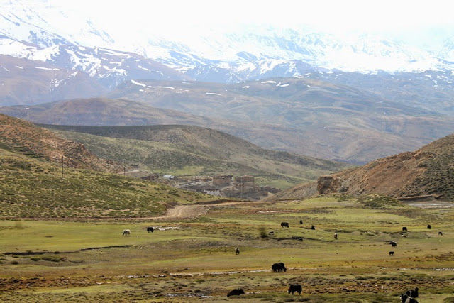 Photo of Lesser Visited and Unexplored Places of Spiti #offbeatplace 11/16 by S S (Saurabh Sabikhi)