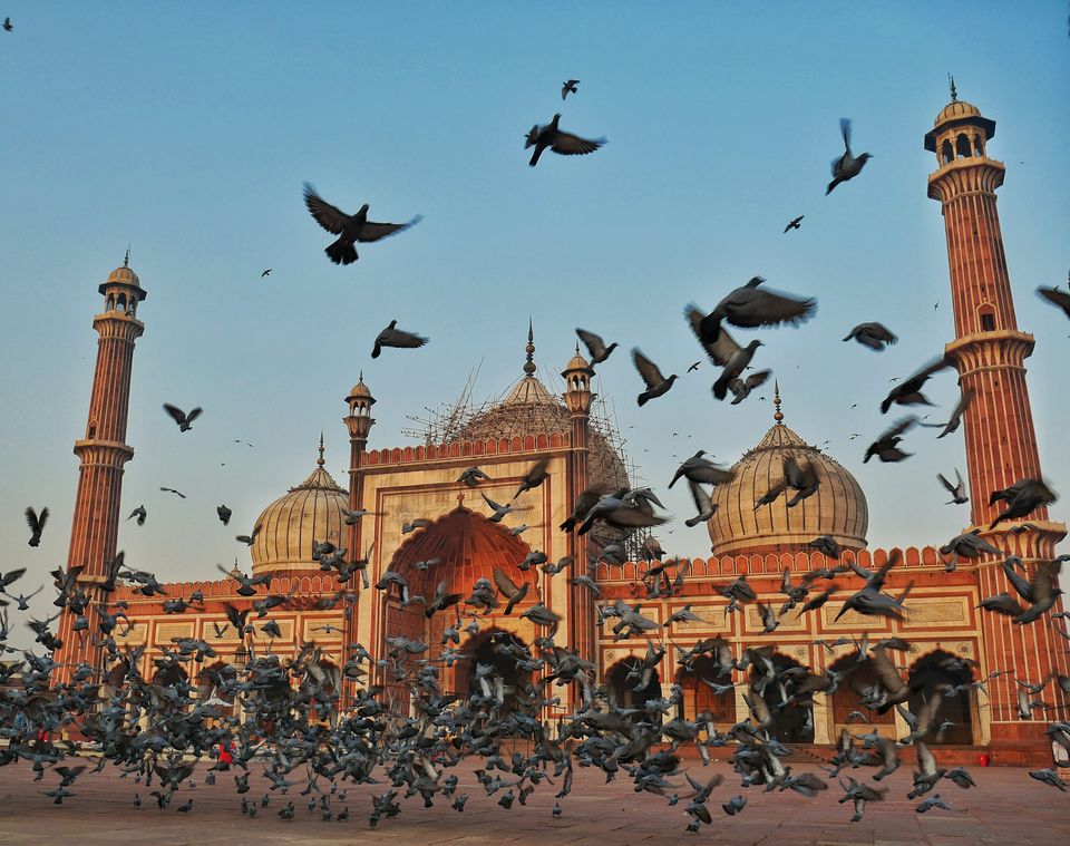 Photo of Have a day in Delhi? Here's a list of places you must visit. #ADayInDelhi by S S (Saurabh Sabikhi)