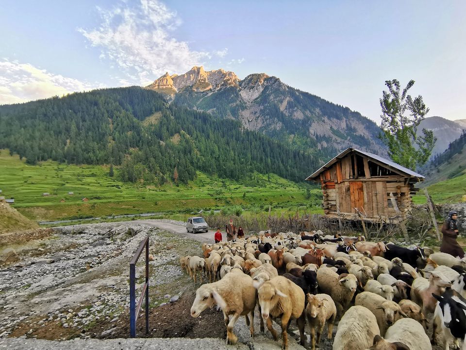 Photo of The news from Kashmir that should have made headlines in every news channel of the country. 2/3 by S S (Saurabh Sabikhi)