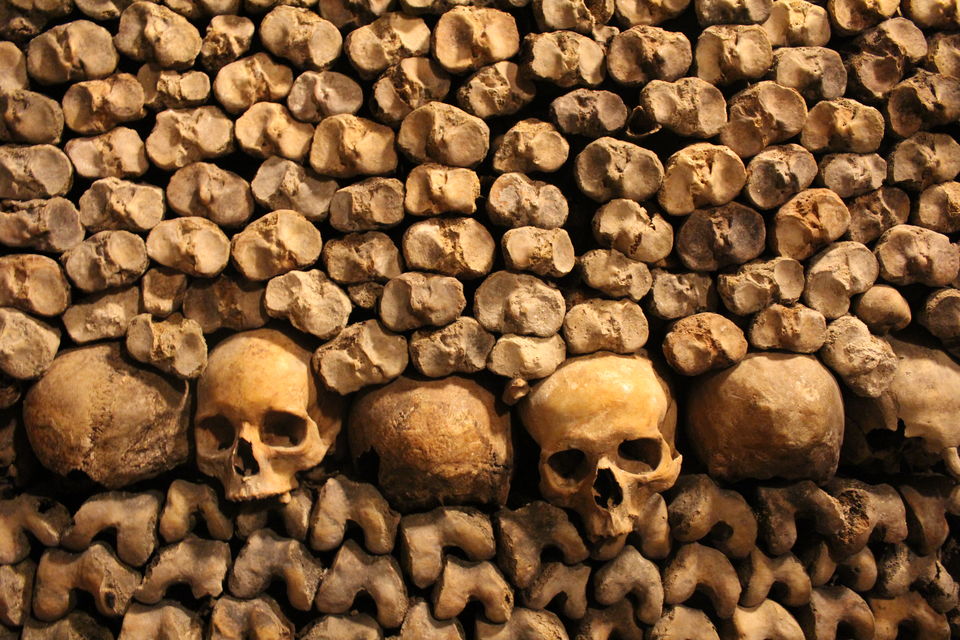 Photo of Beneath the Beautiful City of Paris Lies a 'City of the Dead' Even Locals Don't Know About! 12/18 by S S (Saurabh Sabikhi)
