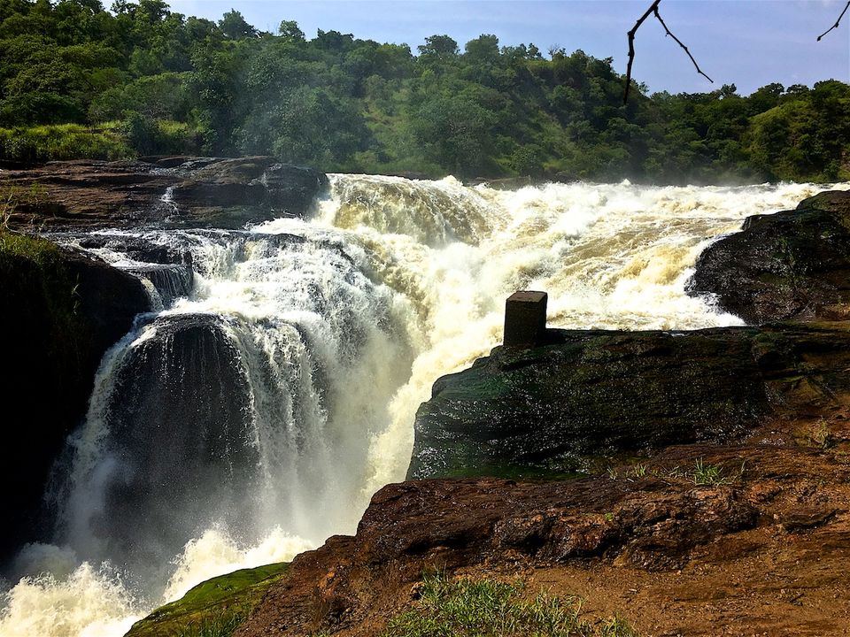 Photo of Wild in Uganda: Lose Yourself in Raw, Serene Beauty | #100GreatJourneys 3/5 by Ajay Jain