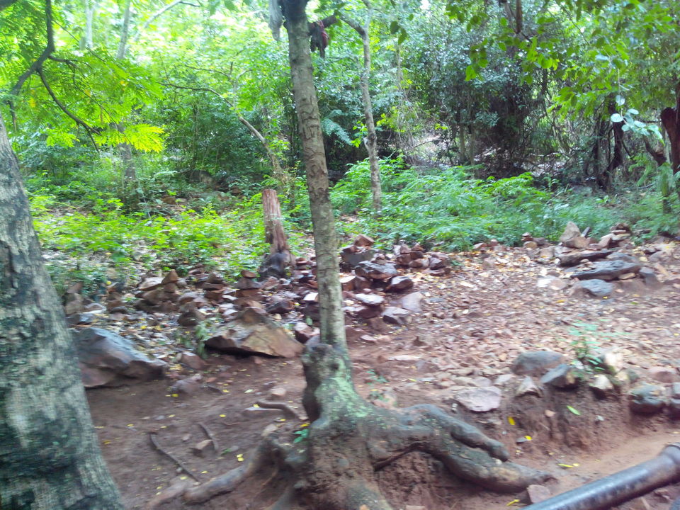 Photo of Tirupathi – May be traditional yet cool place to go by Majid Hussain