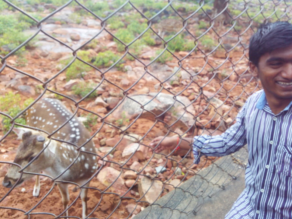 Photo of Tirupathi – May be traditional yet cool place to go by Majid Hussain
