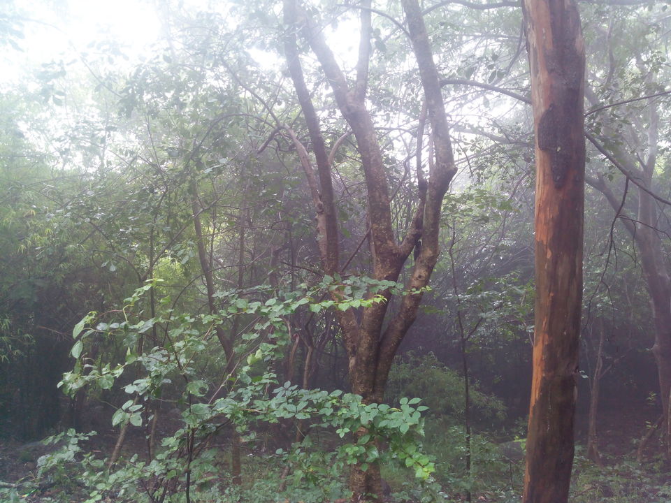 Photo of Tirupathi – May be traditional yet cool place to go by Majid Hussain