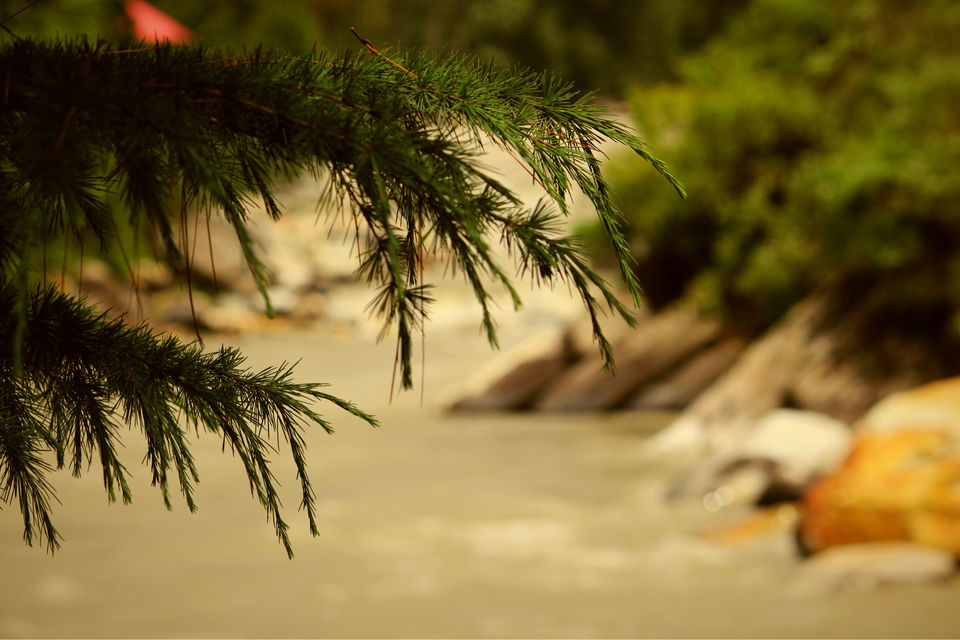 Photo of Kasol, Himachal Pradesh, India by Summi