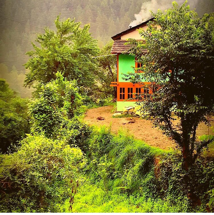 Photo of Hiking to the woods of Parvati.. by Summi
