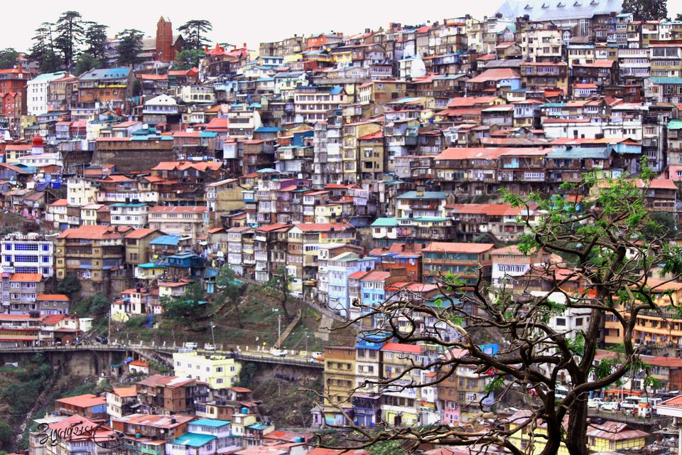 Photo of Solo Backpack Trip to Spiti Valley - Day 1 (Shimla) 2/15 by Atul Khandar