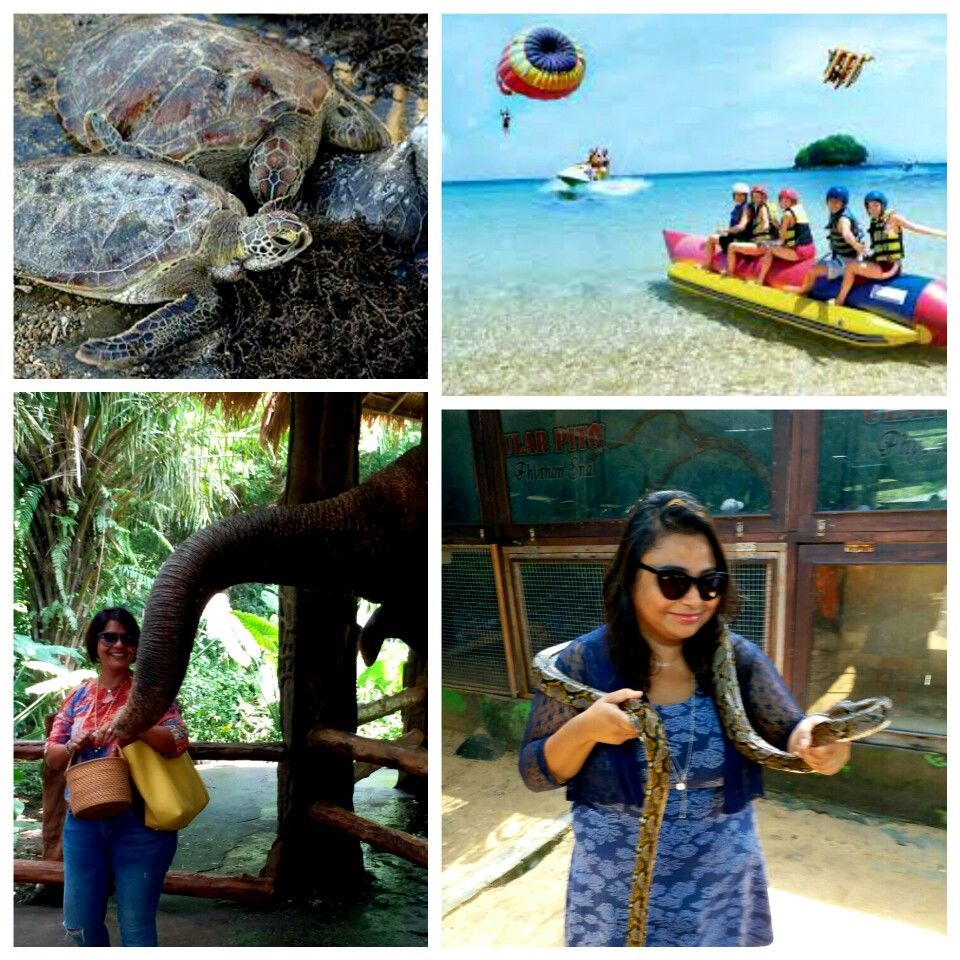Photo of Places to stay in Bali 2/12 by Sudipto & Snigdha