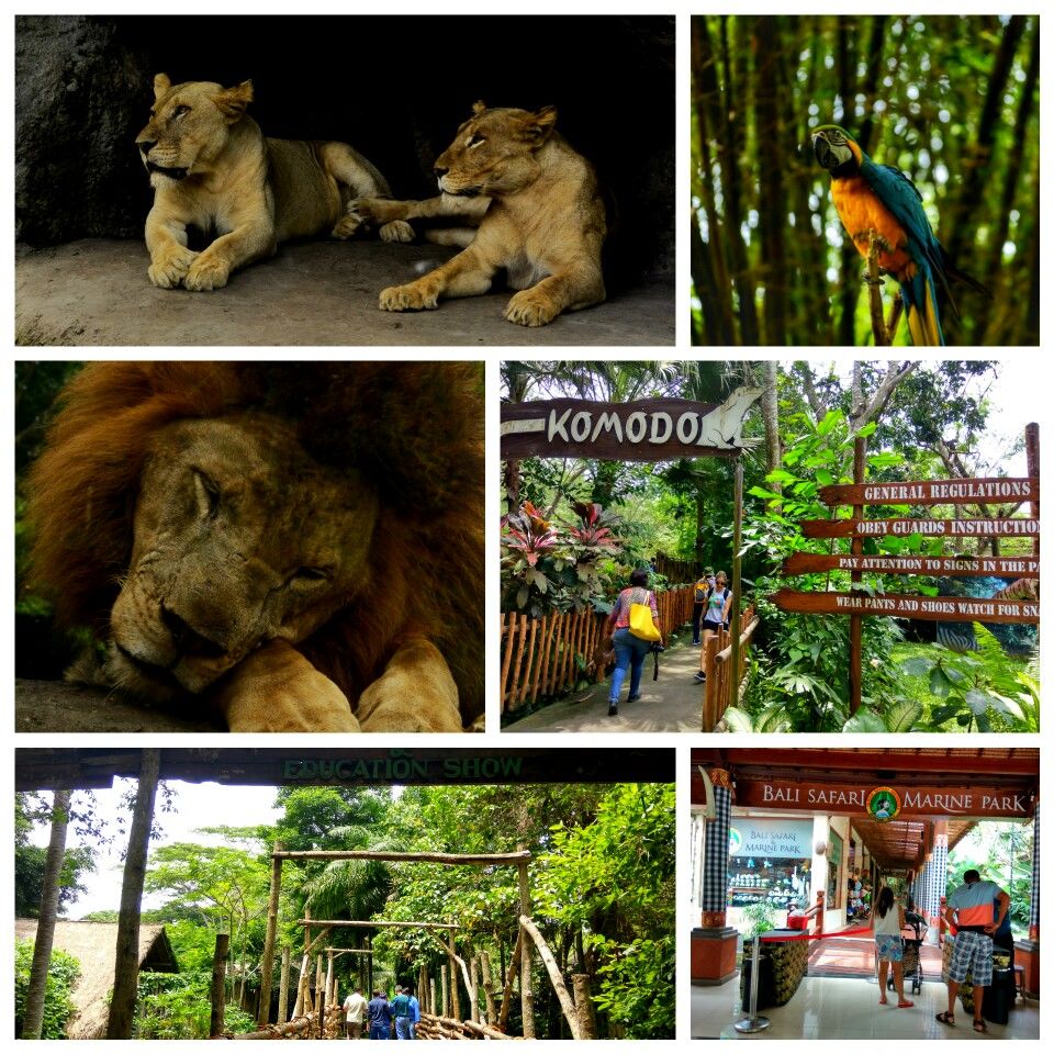 Photo of Places to stay in Bali 6/12 by Sudipto & Snigdha