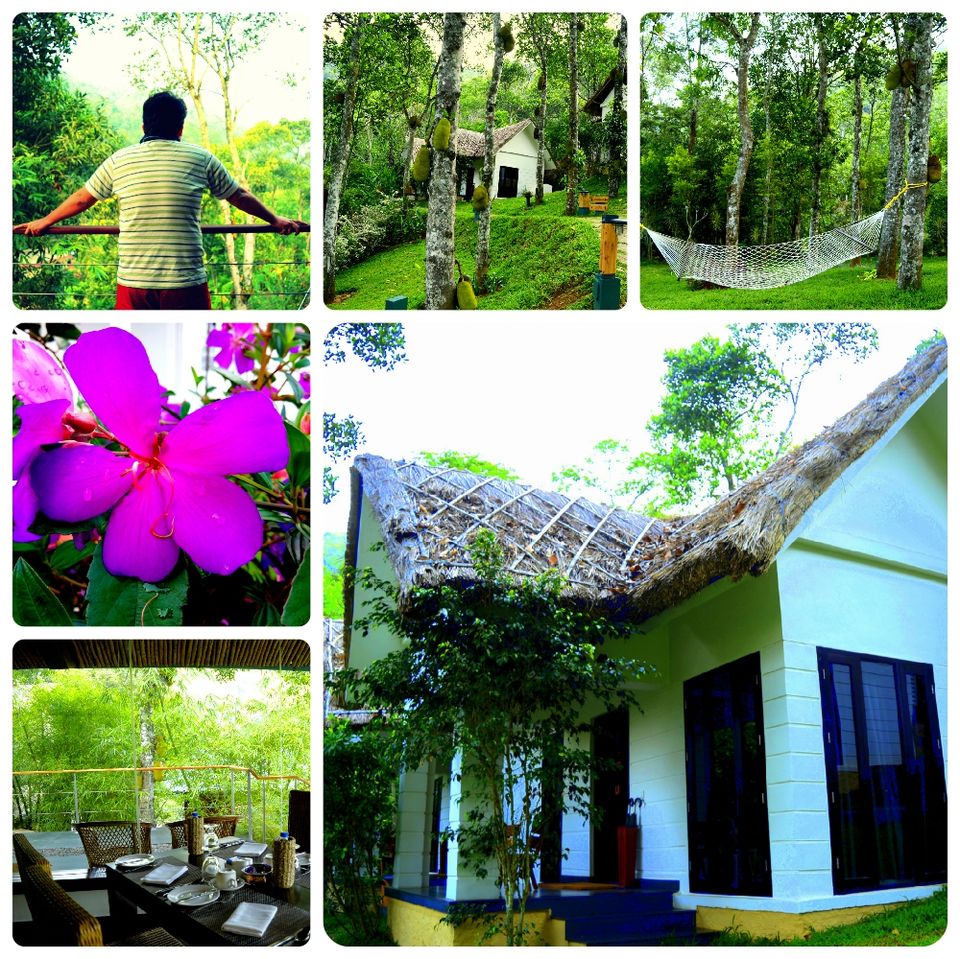 Photo of Staying in Cardamom hills: Niraamaya Retreats Cardamom Club, Thekaddy 1/4 by Sudipto & Snigdha
