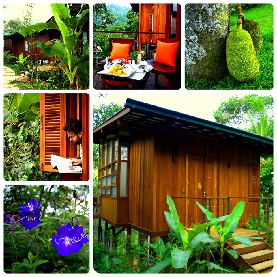 Photo of Staying in Cardamom hills: Niraamaya Retreats Cardamom Club, Thekaddy 2/4 by Sudipto & Snigdha